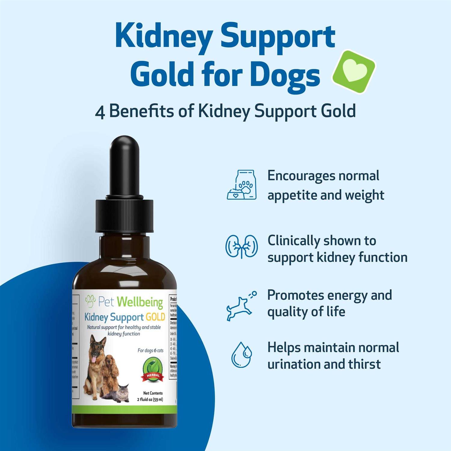 Pet Wellbeing Kidney Support Gold for Dogs - Healthber