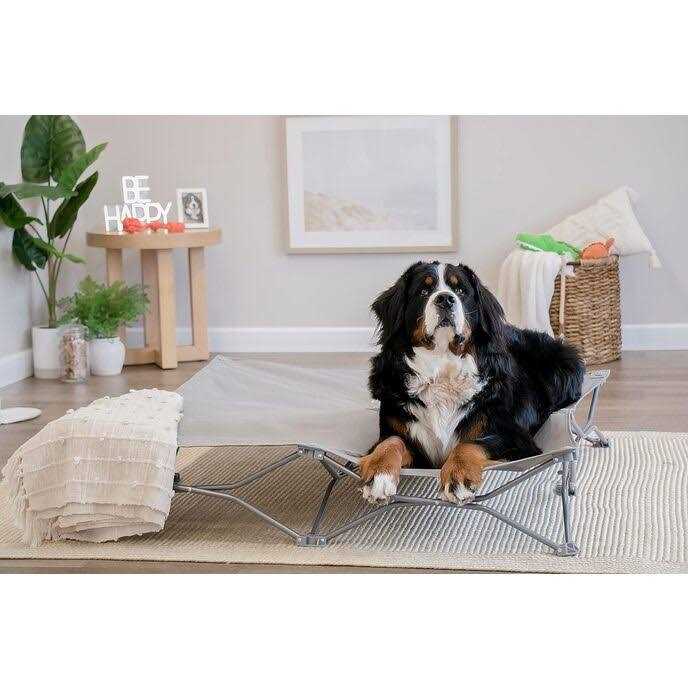 Carlson Pet Products Portable Pup Pet Bed - Healthber