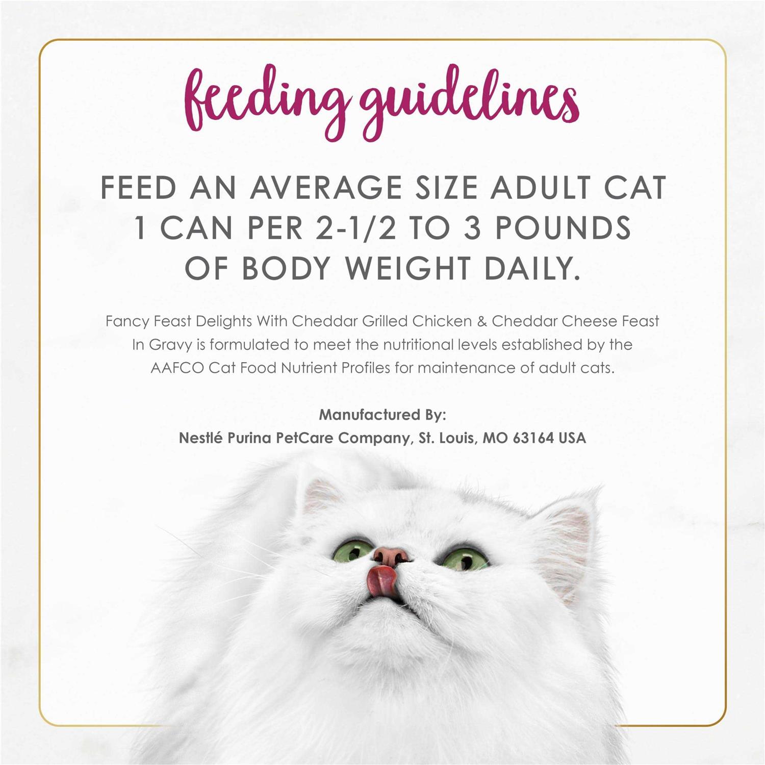 Fancy Feast Gravy Delights Grilled Cheddar Cheese Wet Cat Food - Healthber