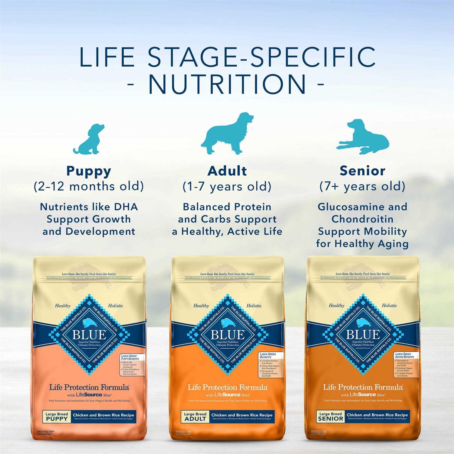 Blue Buffalo Life Protection Formula Fish & Brown Rice Adult Dry Dog Food - Healthber