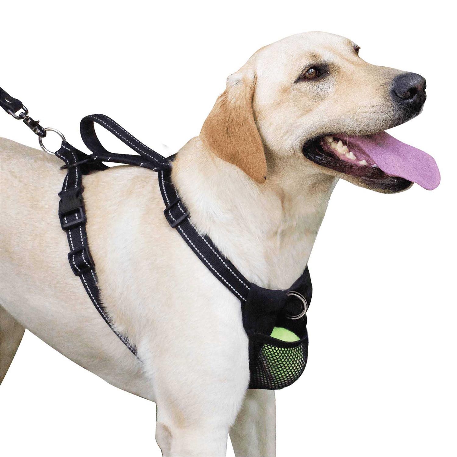 Sporn Ultimate Control Harness - Healthber