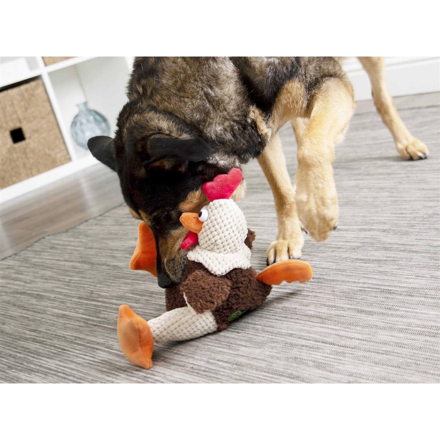 goDog Checkers Fat Rooster Dog Toy - Healthber