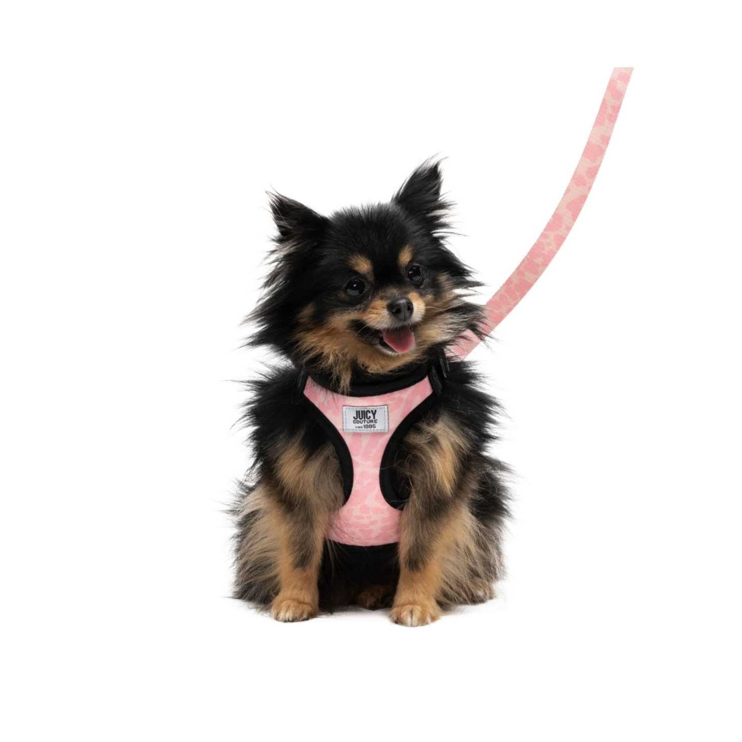 Juicy Couture Harness & Leash Set - Healthber