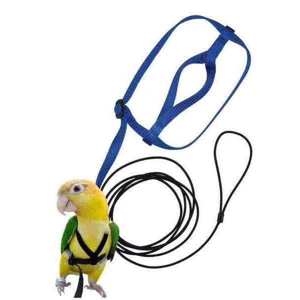 The Aviator Bird Harness and Leash - Healthber