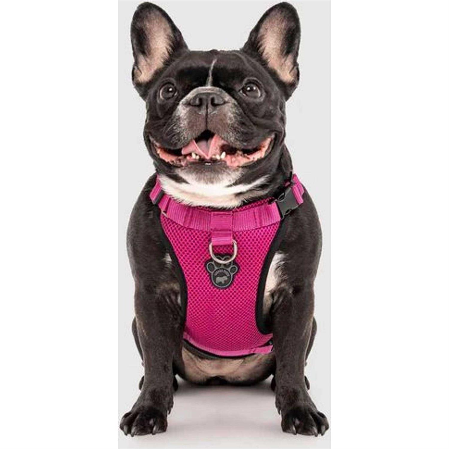 Canada Pooch Dog Everything Harness - Healthber