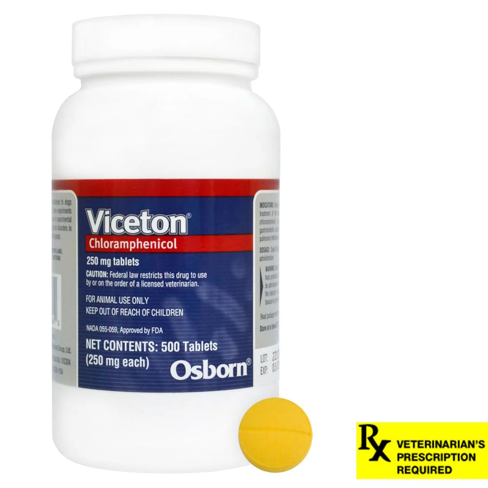 Rx Chloramphenicol (Generic) Tablets for Dogs - Healthber