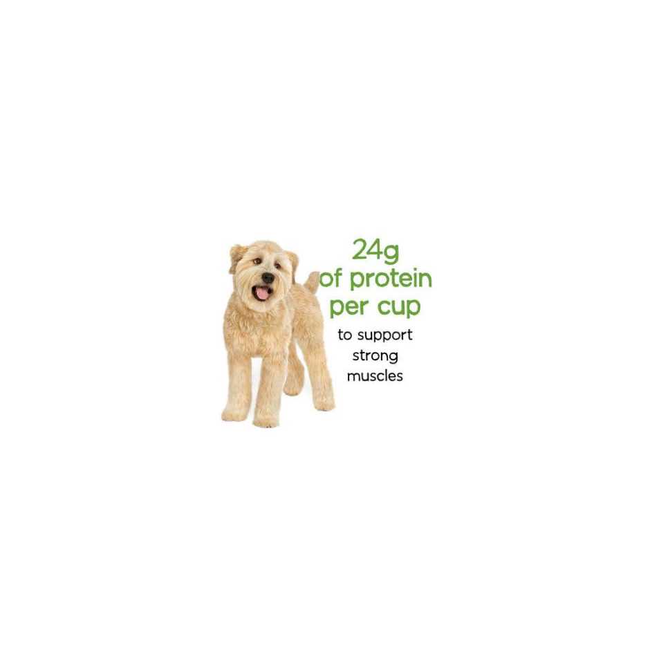 Purina Beneful Healthy Weight Dry Dog Food with Farm-Raised Chicken - Healthber