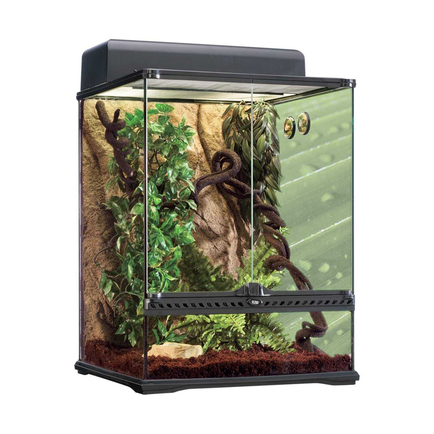 Exo Terra Rainforest Habitat Kit - Healthber