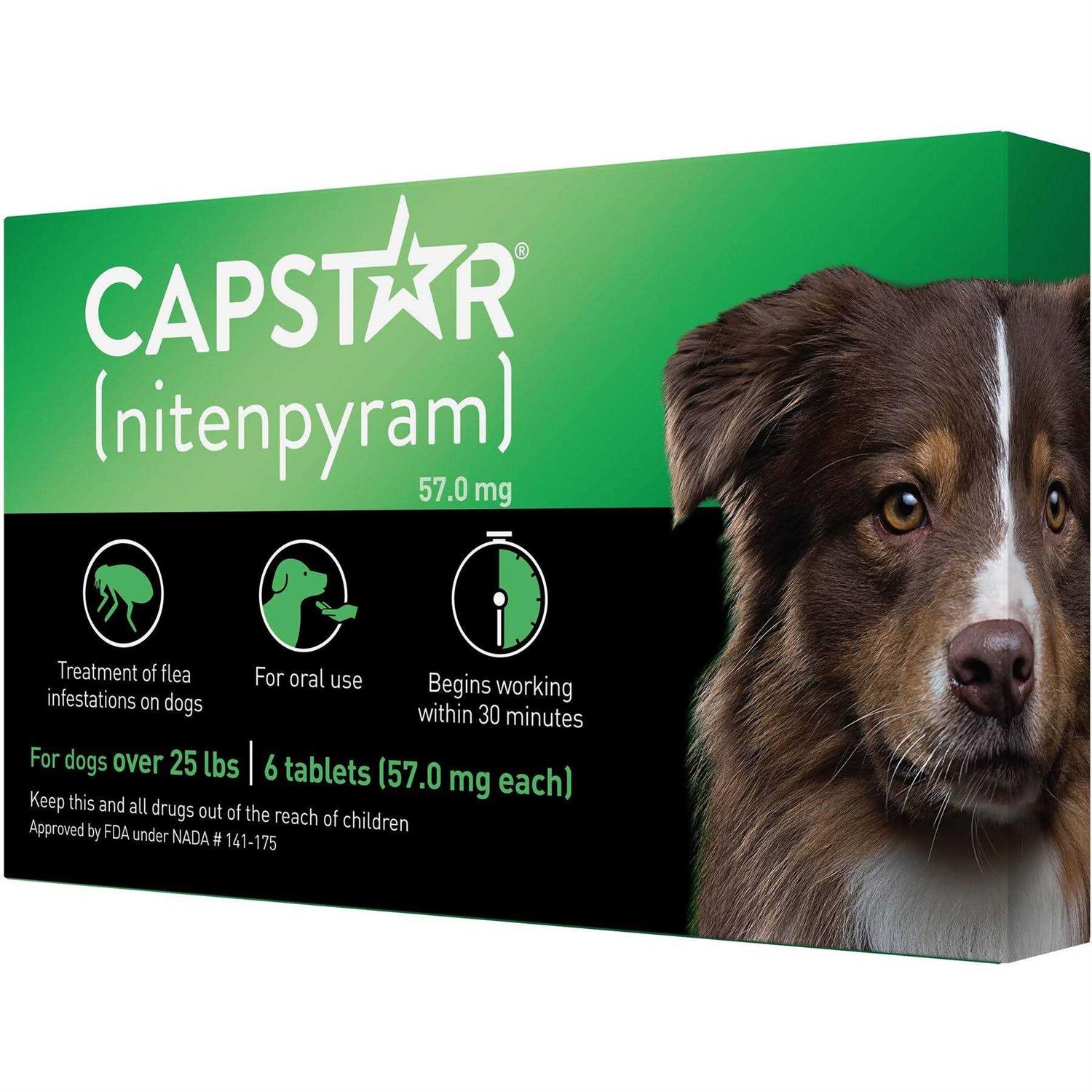 Capstar Flea Oral Treatment for Dogs - Healthber