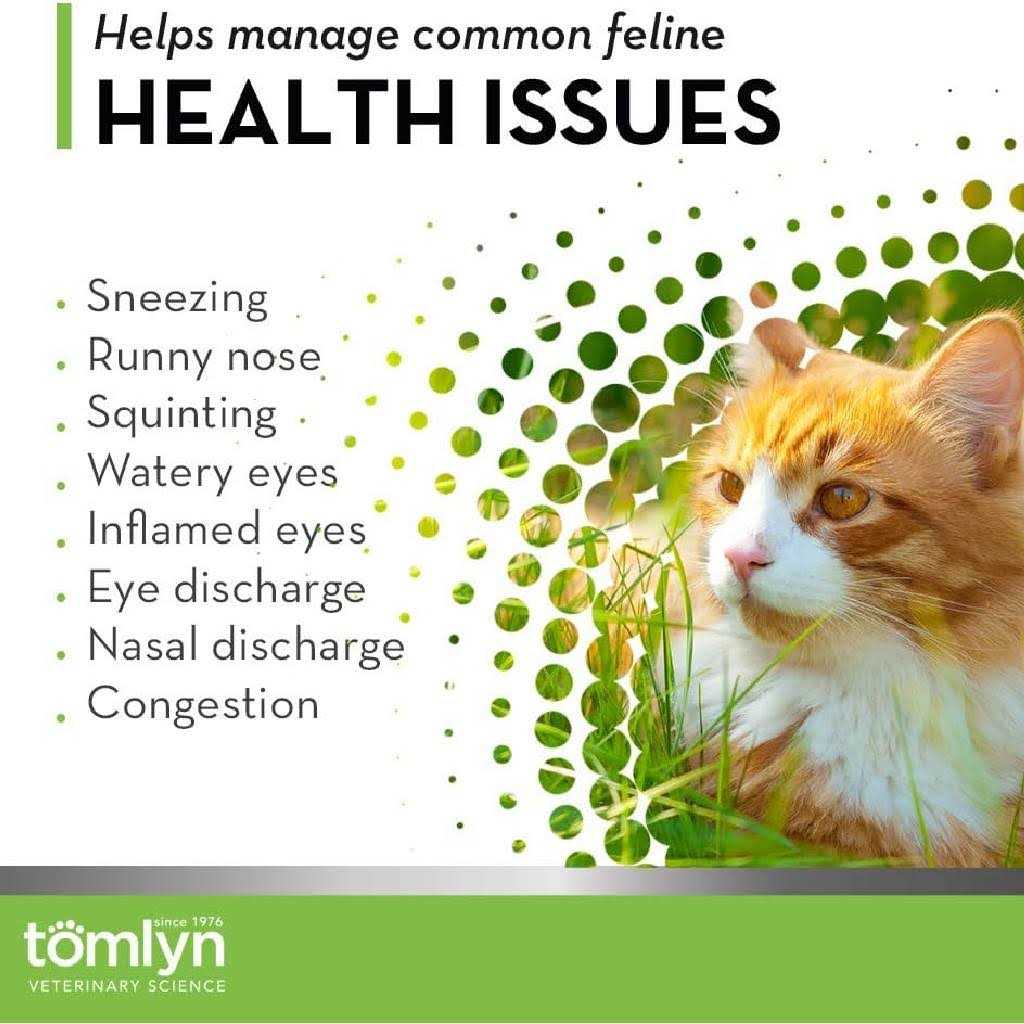 Tomlyn L-Lysine Immune Support Gel for Cats - Healthber