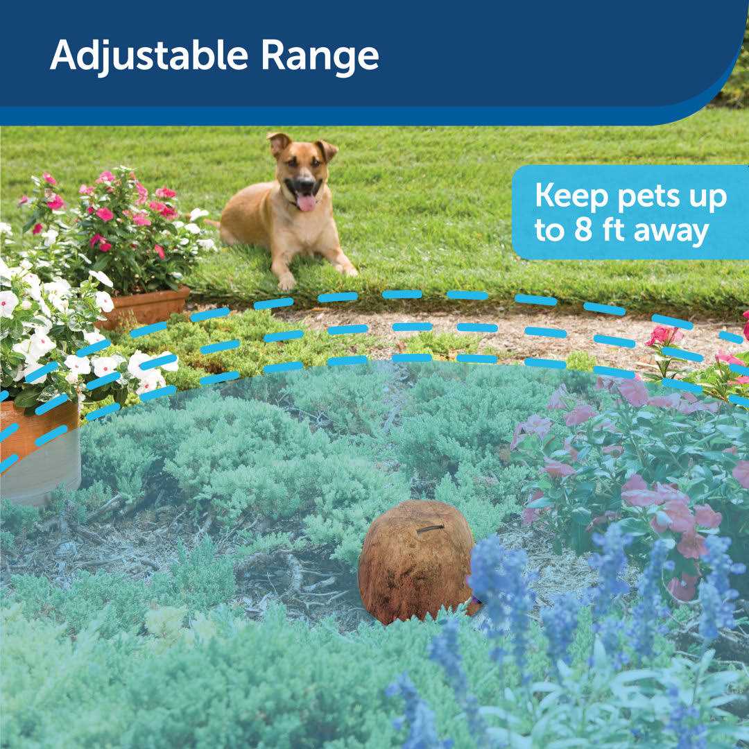 PetSafe Pawz Away Outdoor Pet Barrier - Healthber