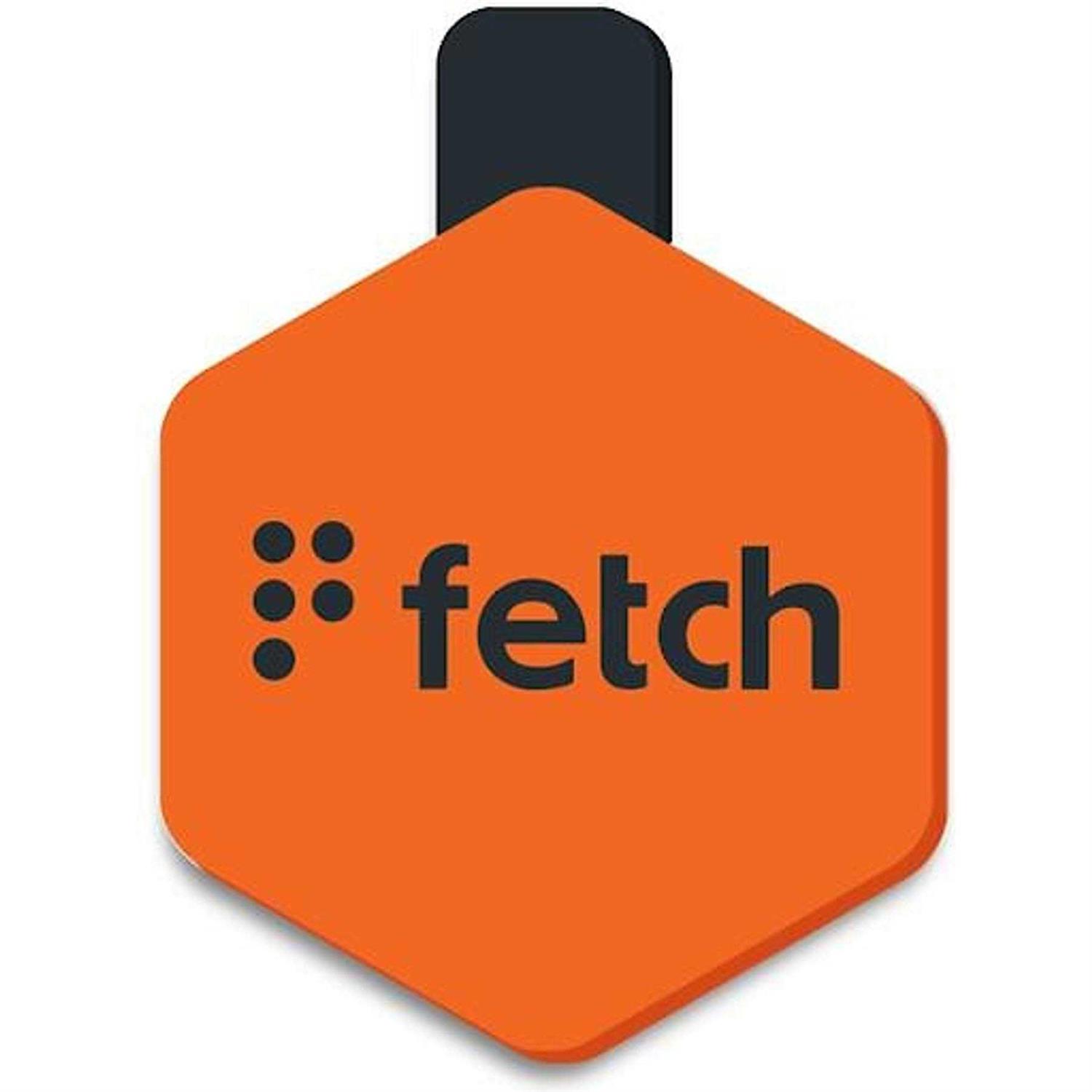 Lifekey Fetch ID Tag - Healthber