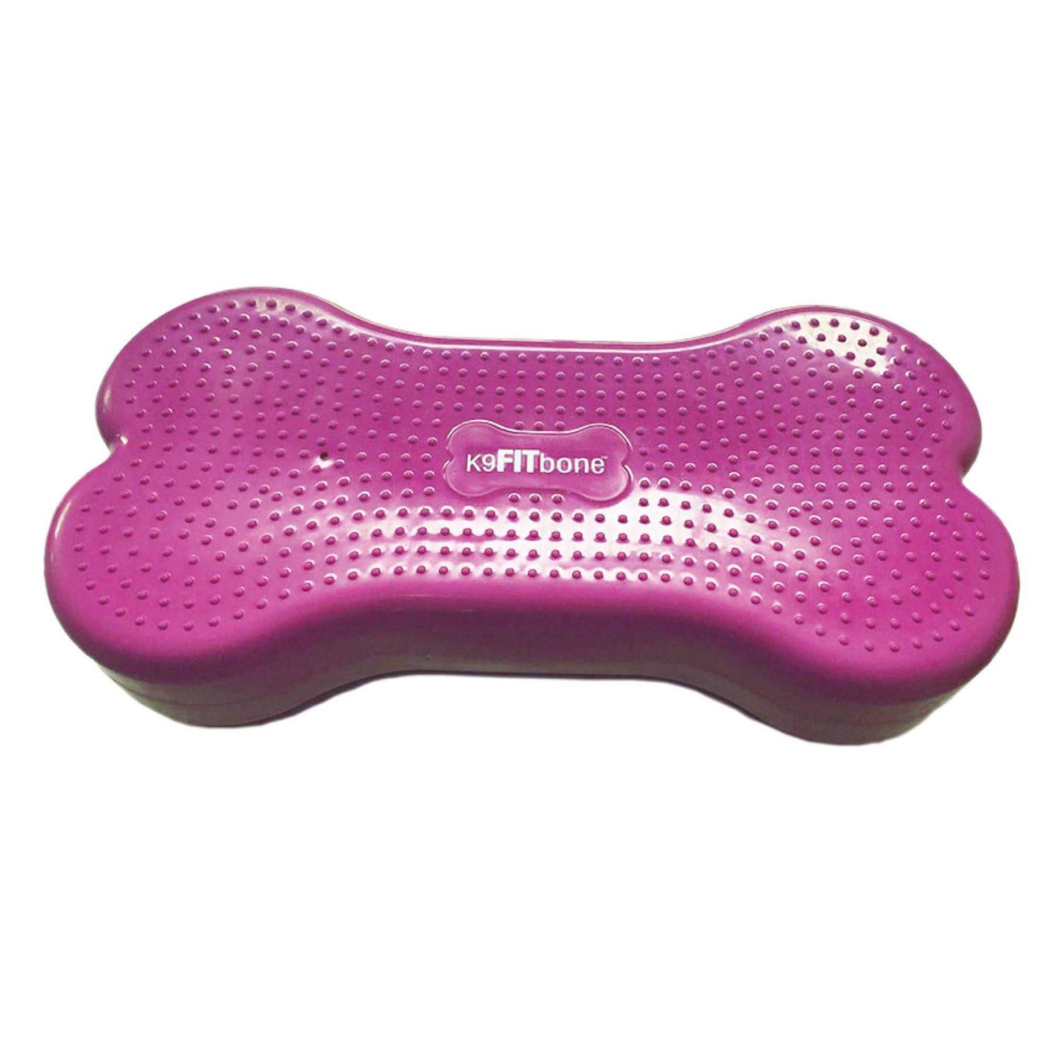 FitPAWS K9FITbone Agility Training - Healthber