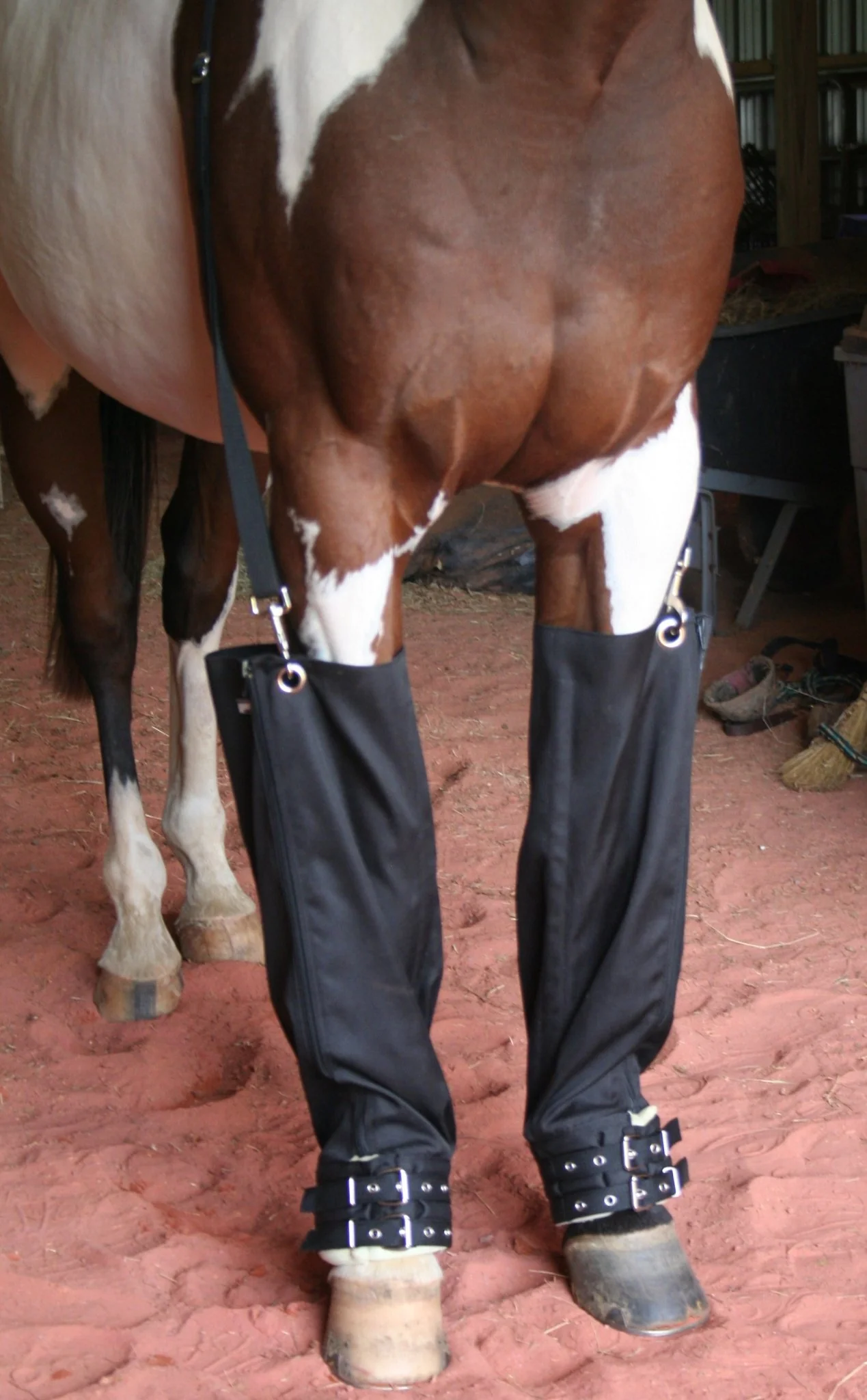 Roma Full Ice Boots for Horses, pair - Healthber