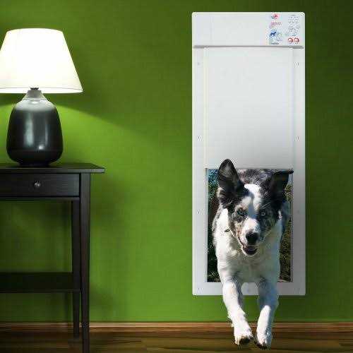 High Tech Pet Power Pet Motorized Door - Healthber