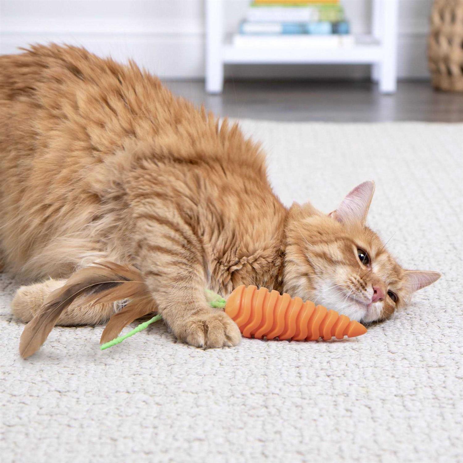 SmartyKat Clean Up Carrot Cat Grooming Toy - Healthber
