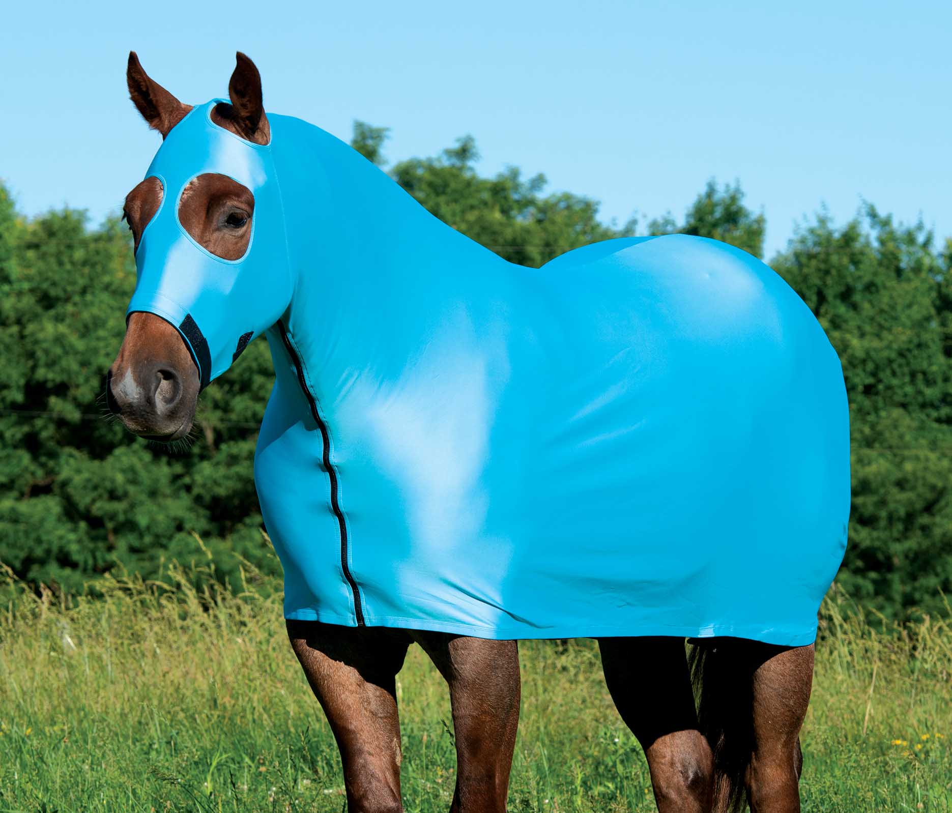 Coolcore Lycra Cooling Sheet for Horses w/ UV Protection - Healthber