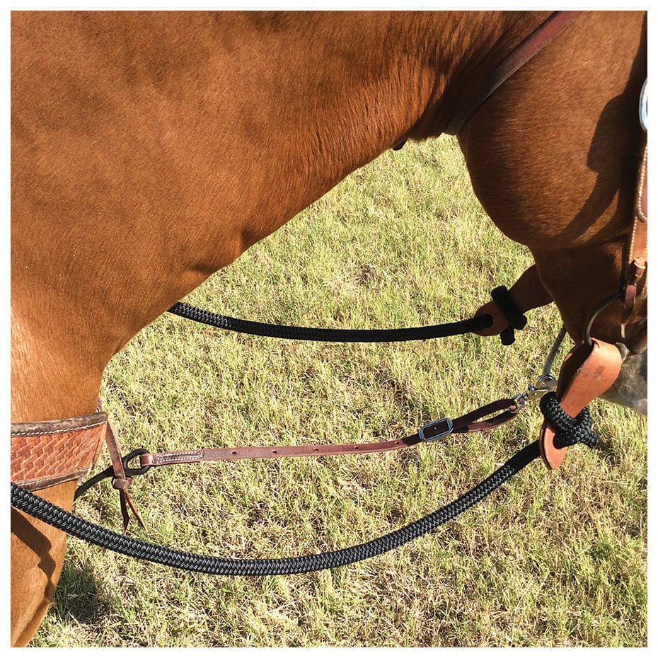 Bungee Tie Down - Healthber