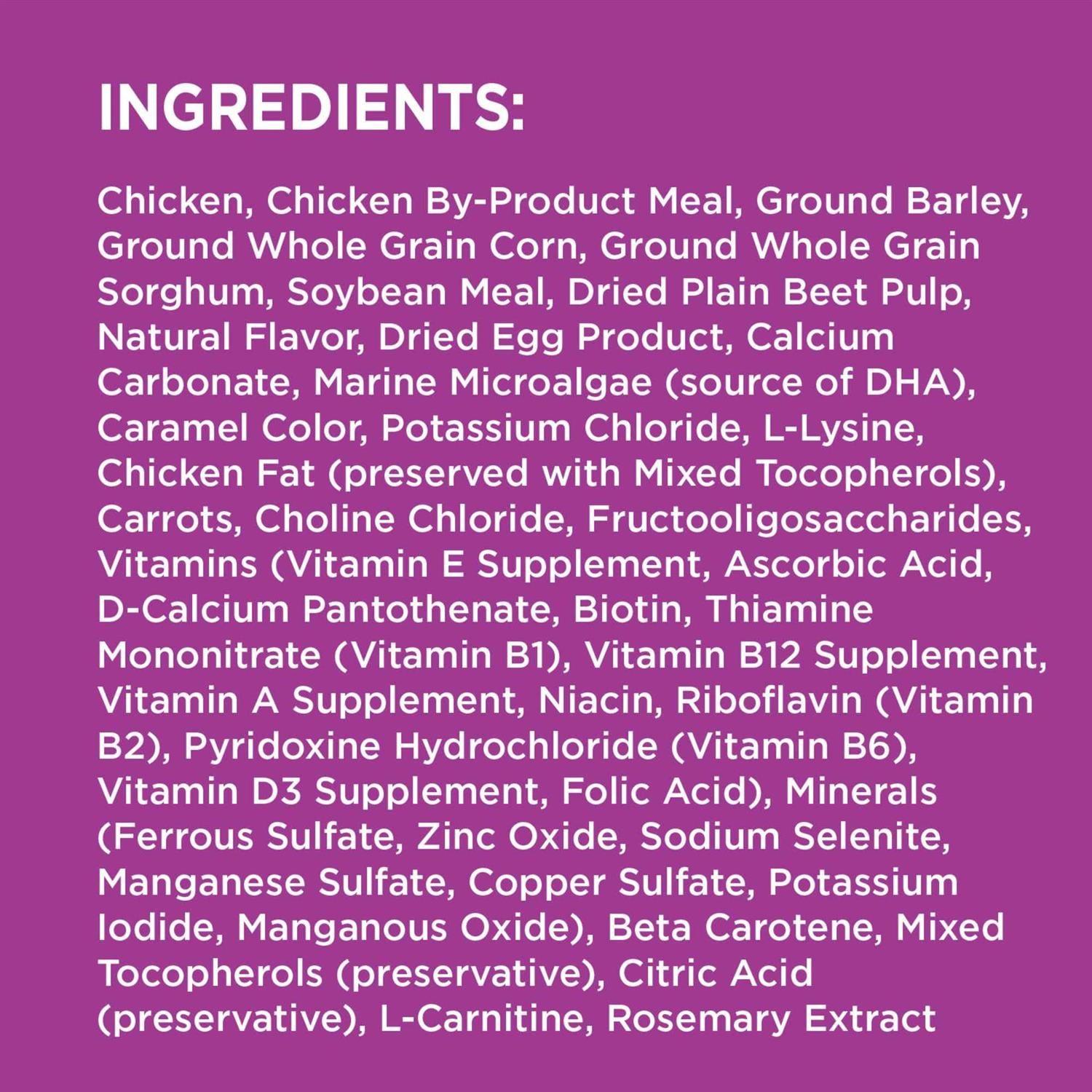 Iams Proactive Health Mature Adult Dry Dog Food - Healthber