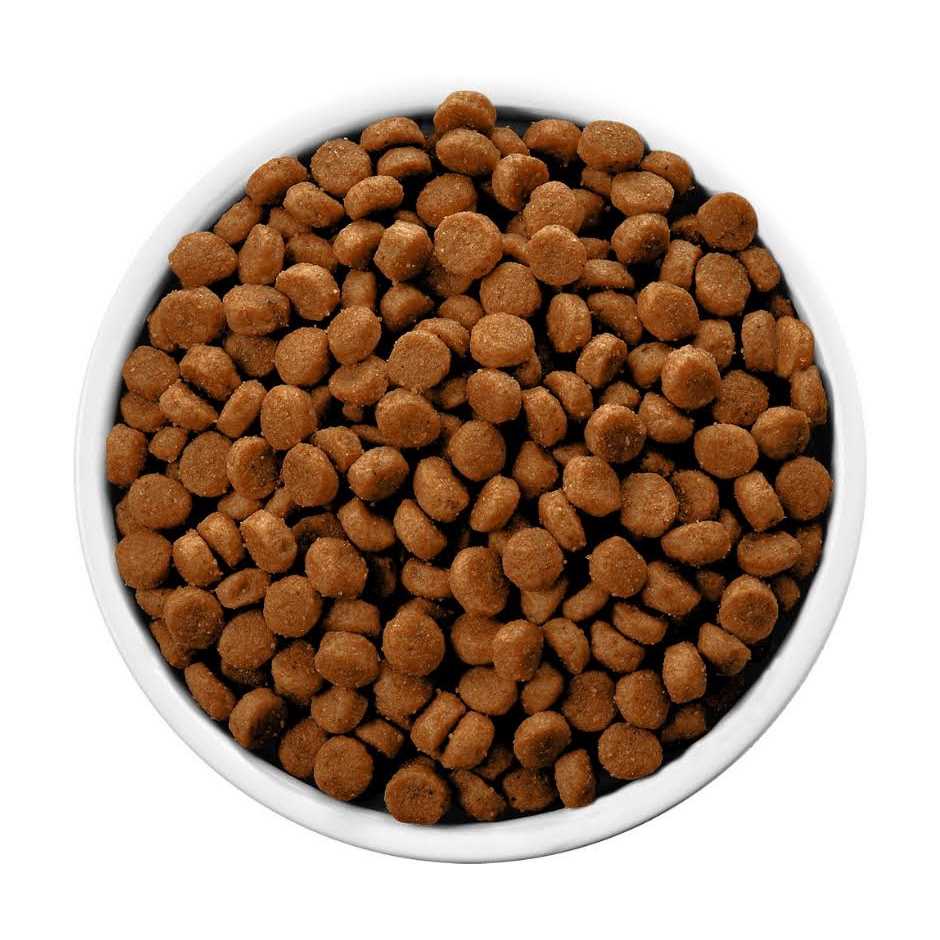 Hill’s Prescription Diet c/d Multicare Urinary Care Chicken Flavor Dry Dog Food - Healthber