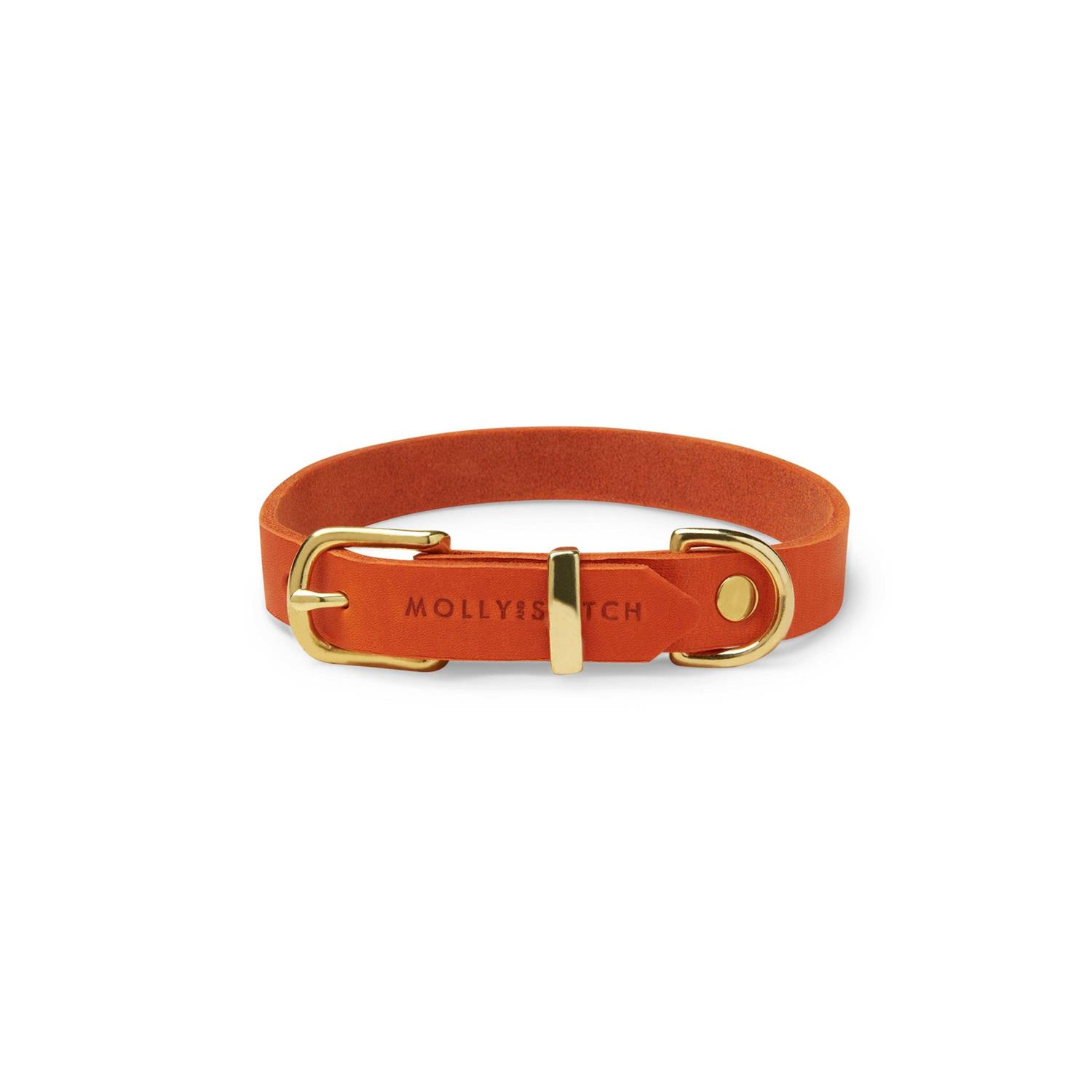 Butter Leather Dog Collar Molly And Stitch US - Healthber