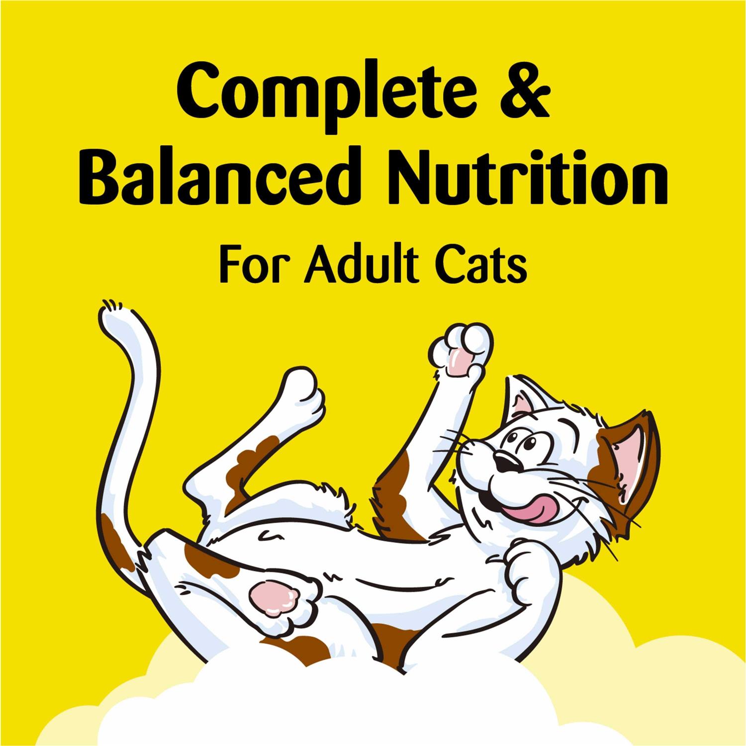 Temptations ShakeUps Crunchy and Soft Cat Treats - Healthber