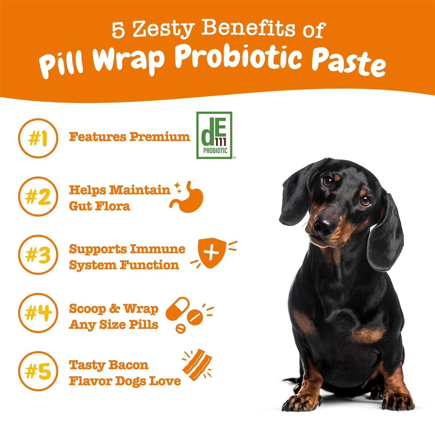 Zesty Paws Pill Wrap Probiotic Paste for Dogs - Healthber