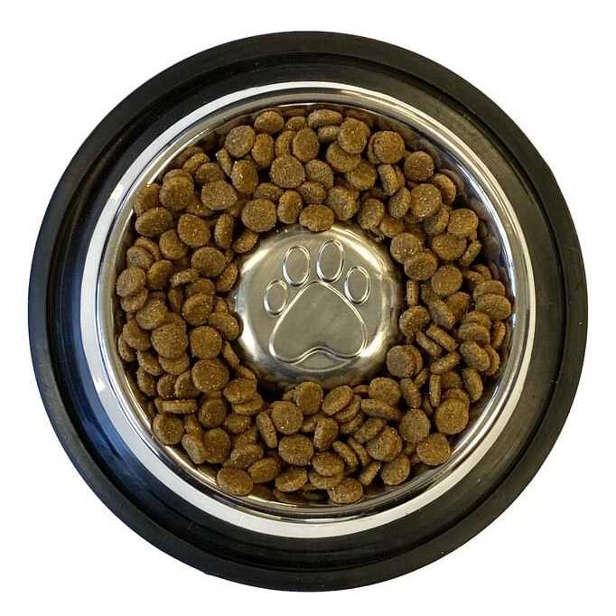 Neater Pet Brands Stainless Steel Slow Feed Bowl Non-Tip & Non-Skid - Healthber