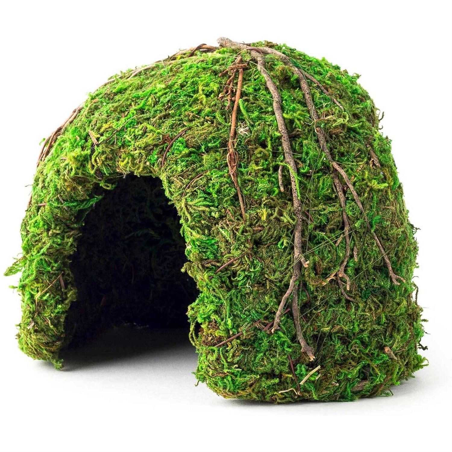 Galapagos Green Mossy Dome - Healthber