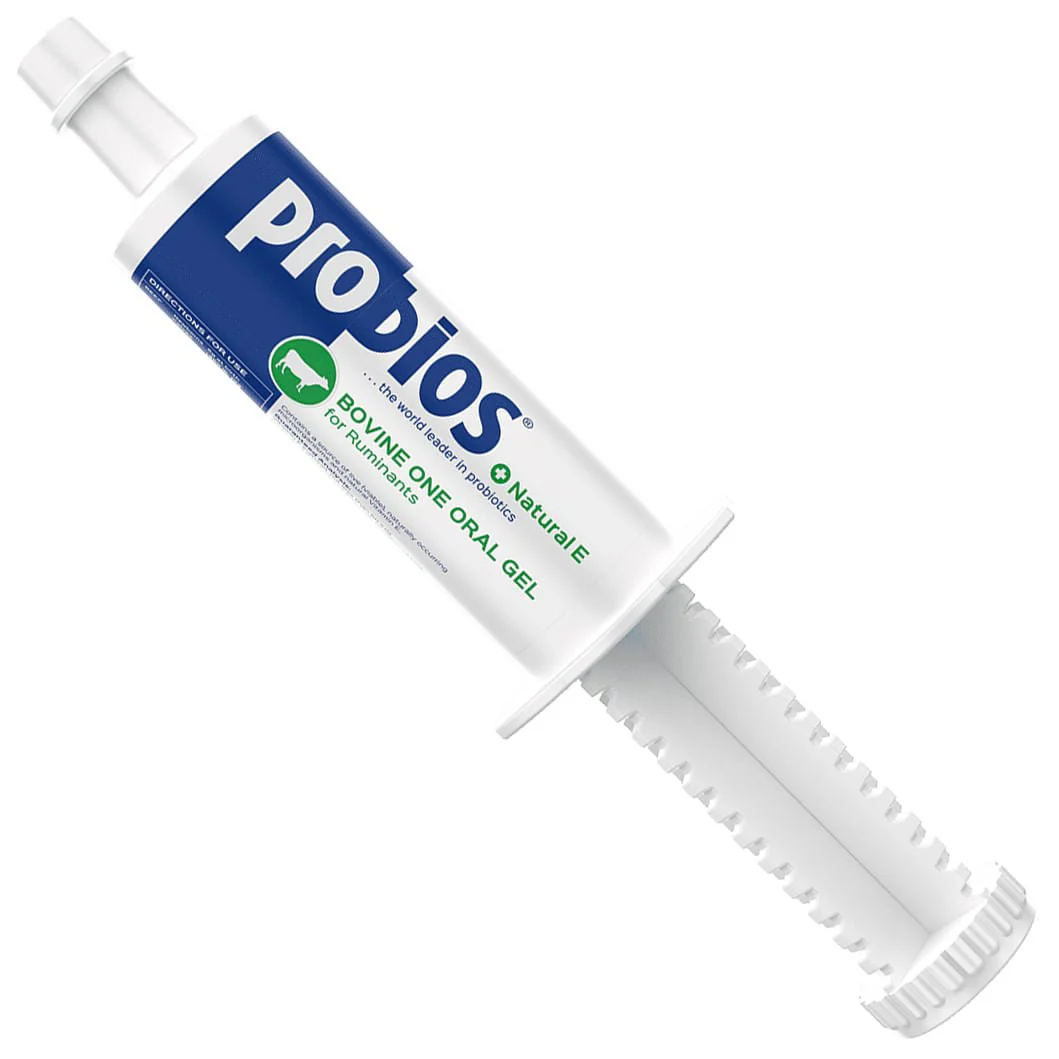Probios Bovine One Plus Natural E - Healthber