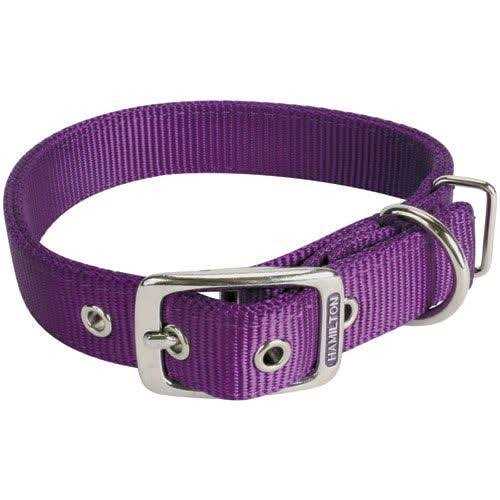 Hamilton Thick Nylon Dog Collar - Healthber