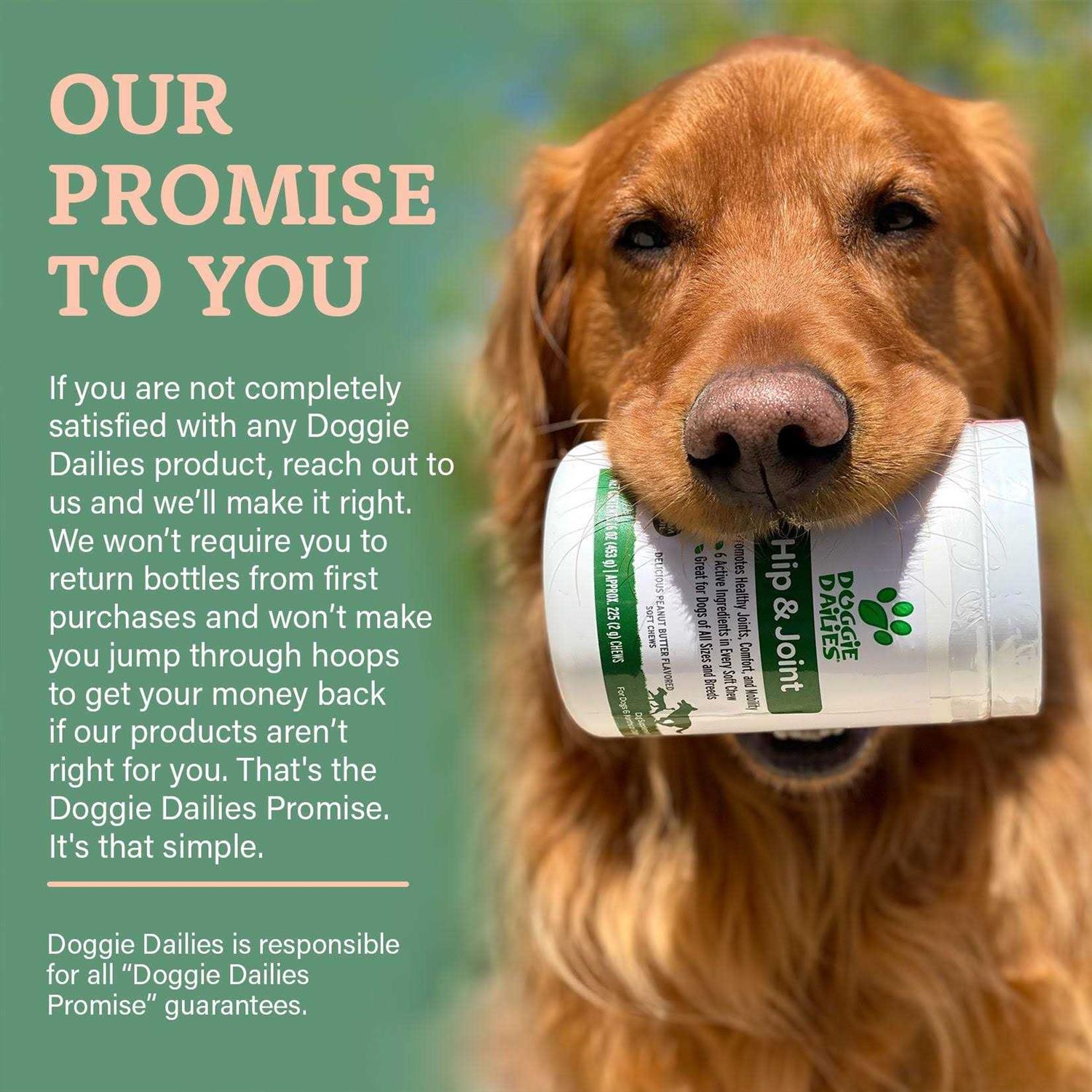 Doggie Dailies Glucosamine for Dogs - Healthber