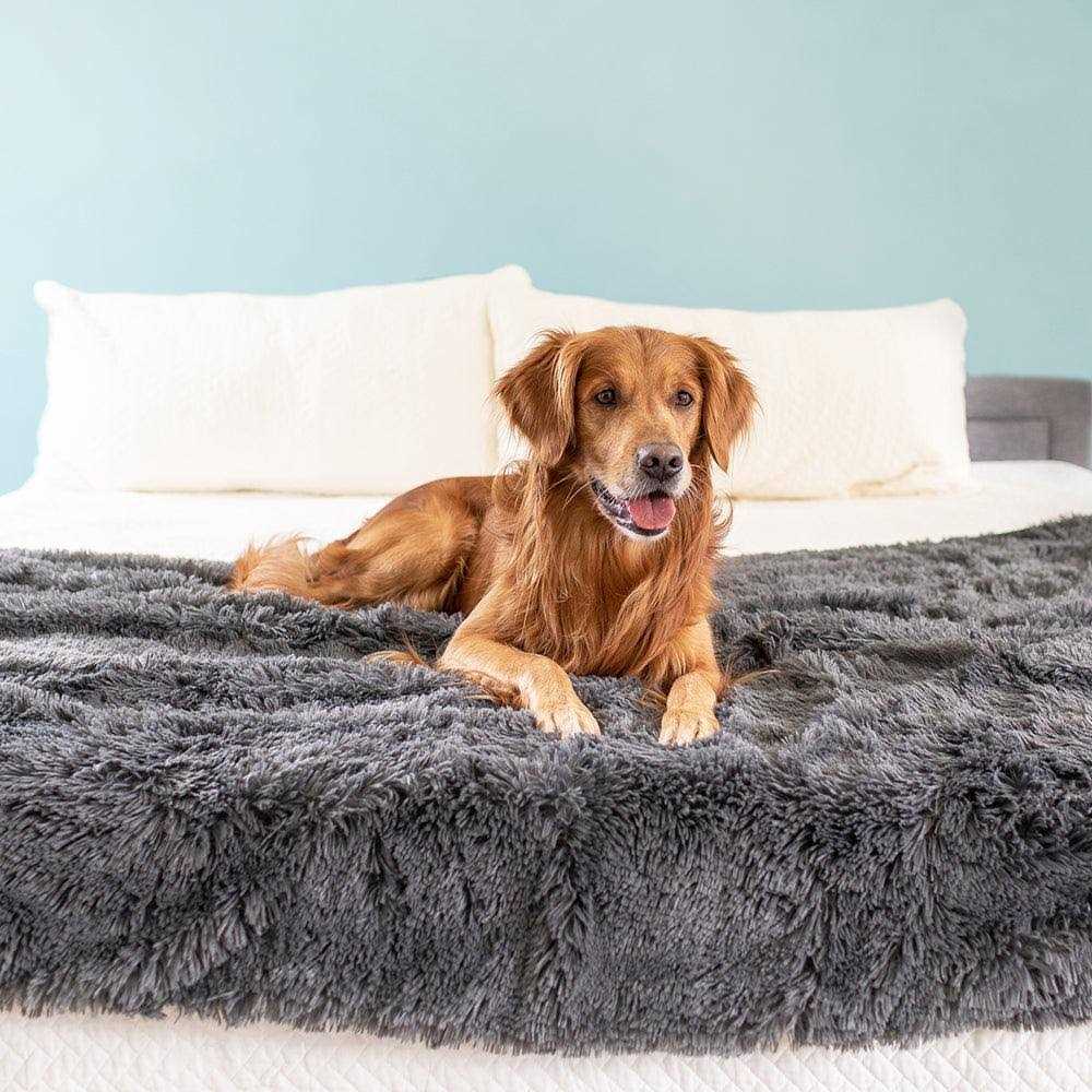 PawProof Throw Blanket - Healthber
