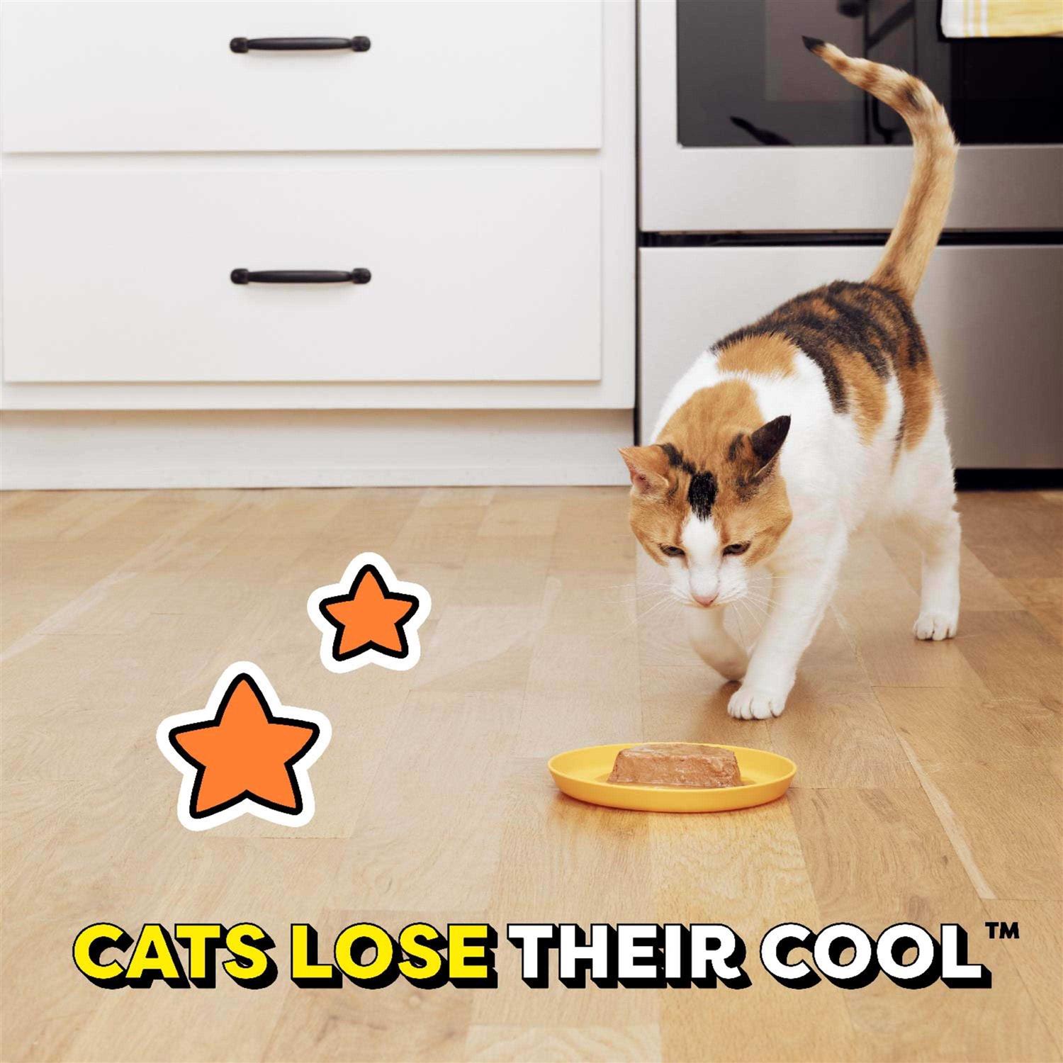 Temptations Tasty Chicken Flavor Gravy Wet Cat Food - Healthber