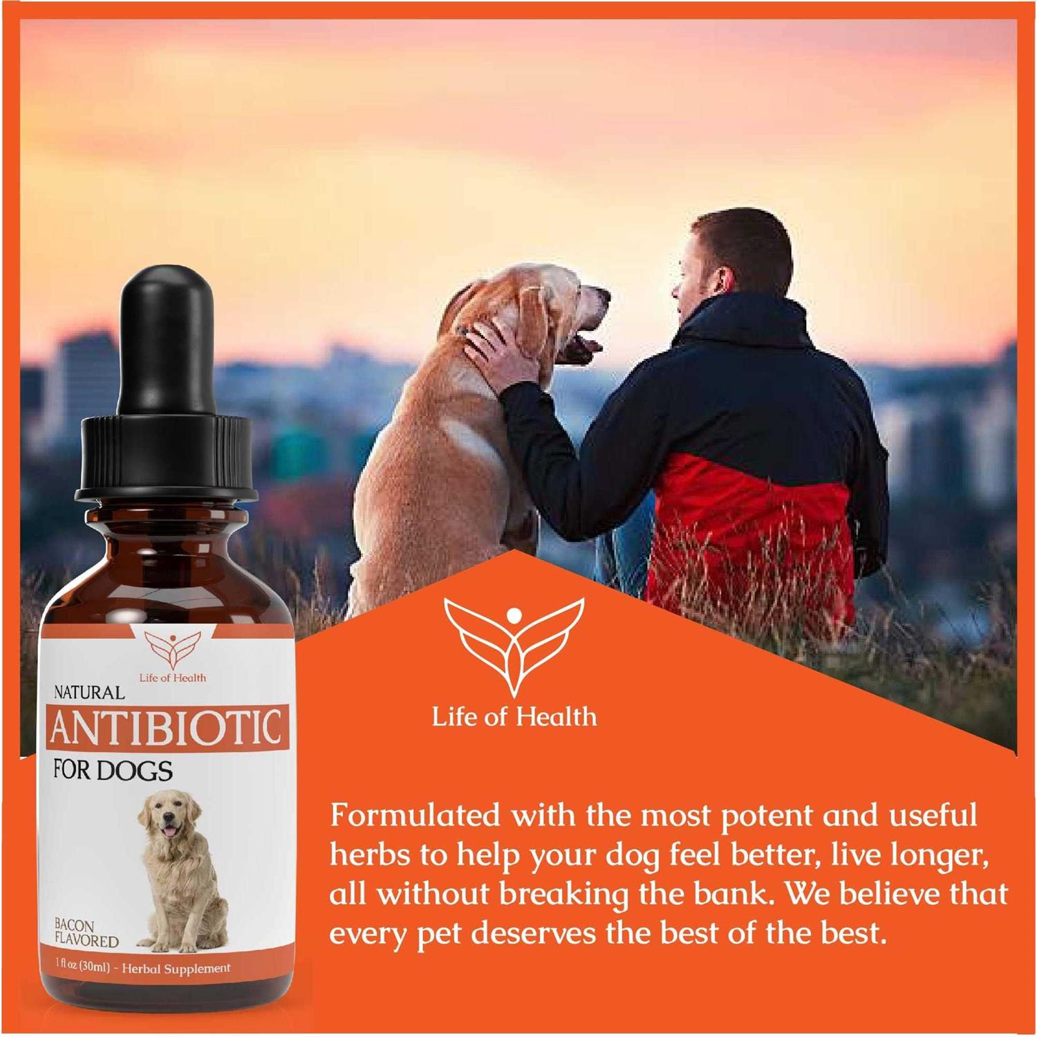 Life of Health Natural Dog Antibiotics Antibiotics for Dogs Helps Support a Healthy Immune System - Healthber