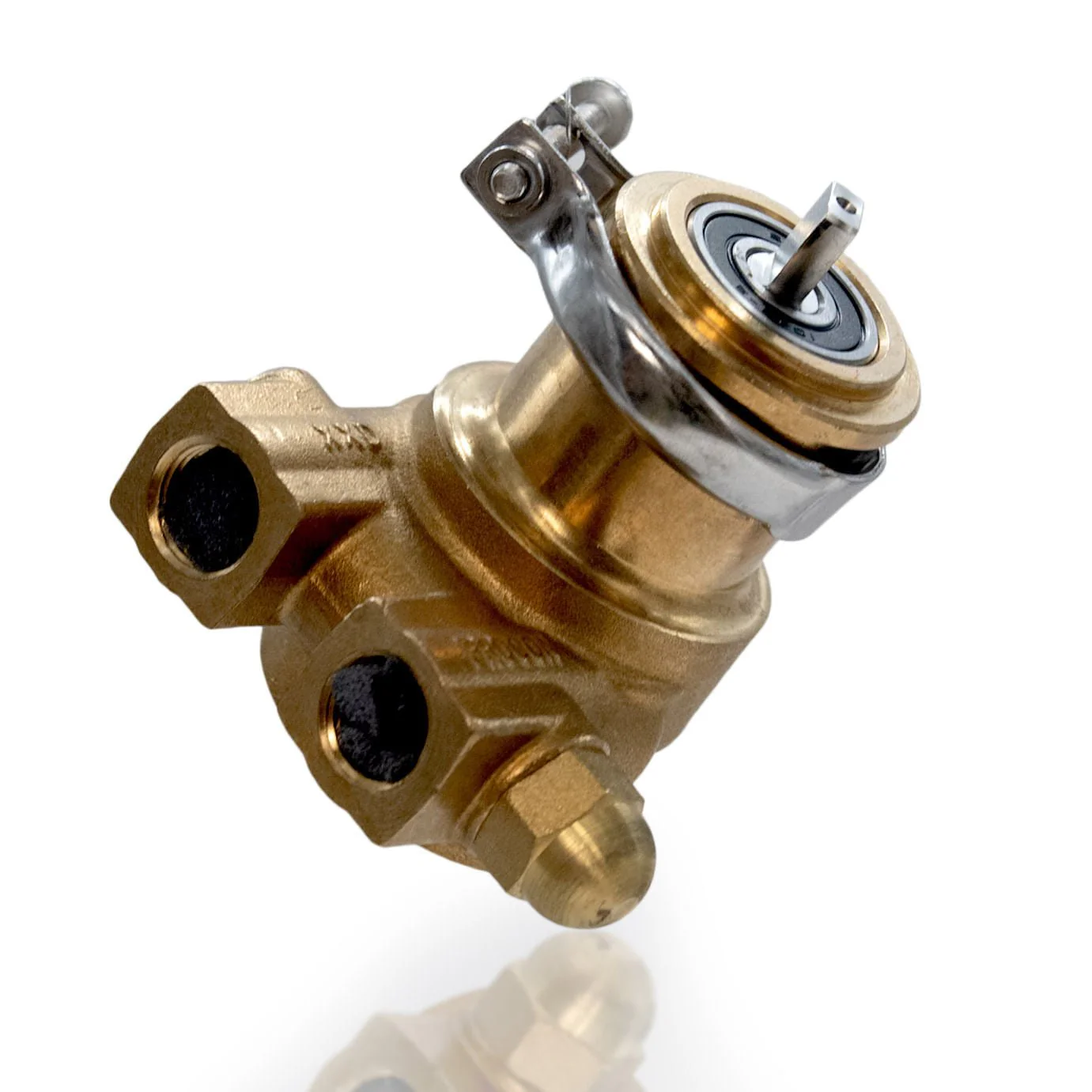 Pyranha Replacement 140 GPH Pump - Healthber