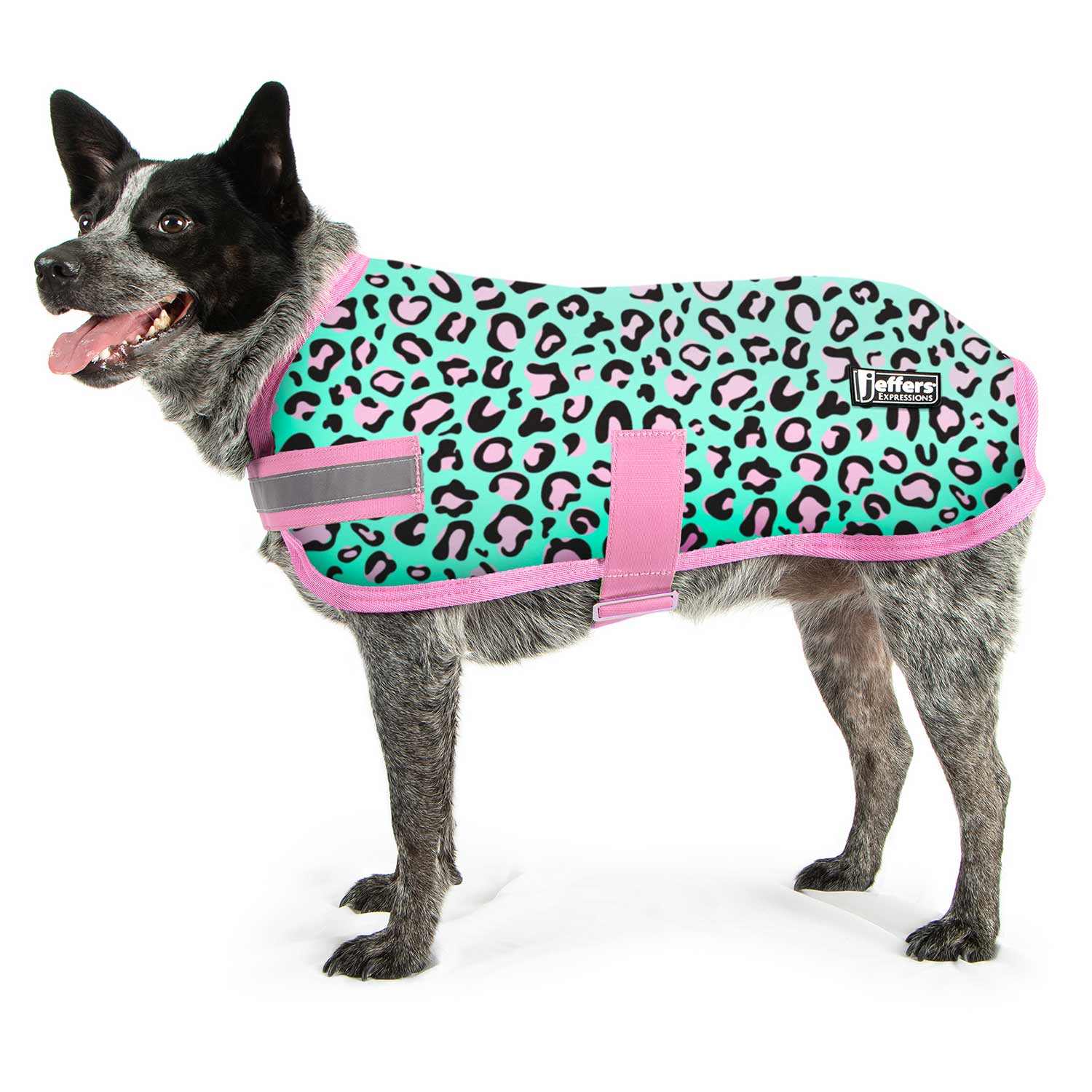 Expression Fleece Dog Coat, Party Cheetah - Healthber
