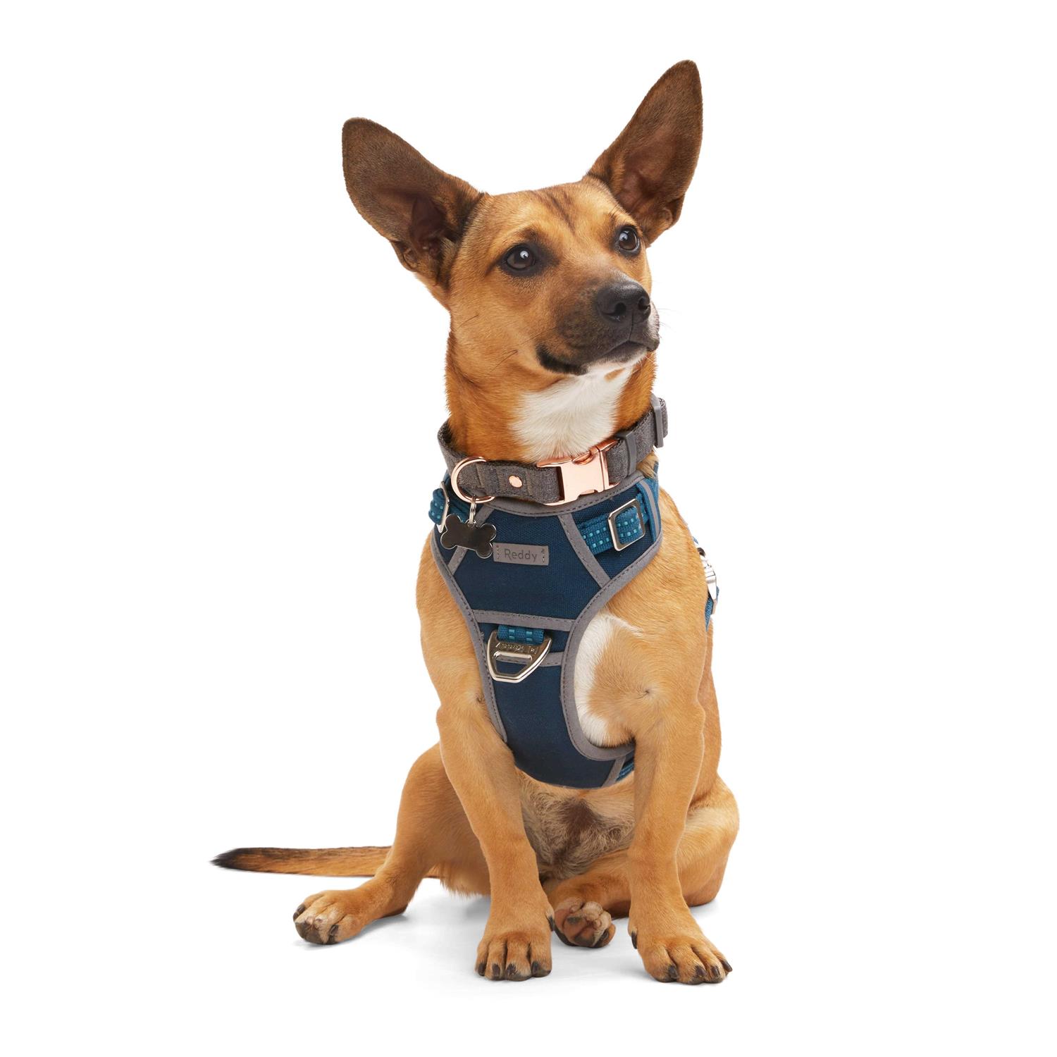 Reddy Navy Dog Harness - Healthber