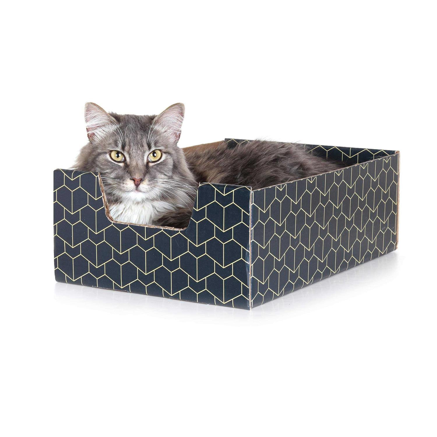 Purrfect Cat Box , Blue - Healthber