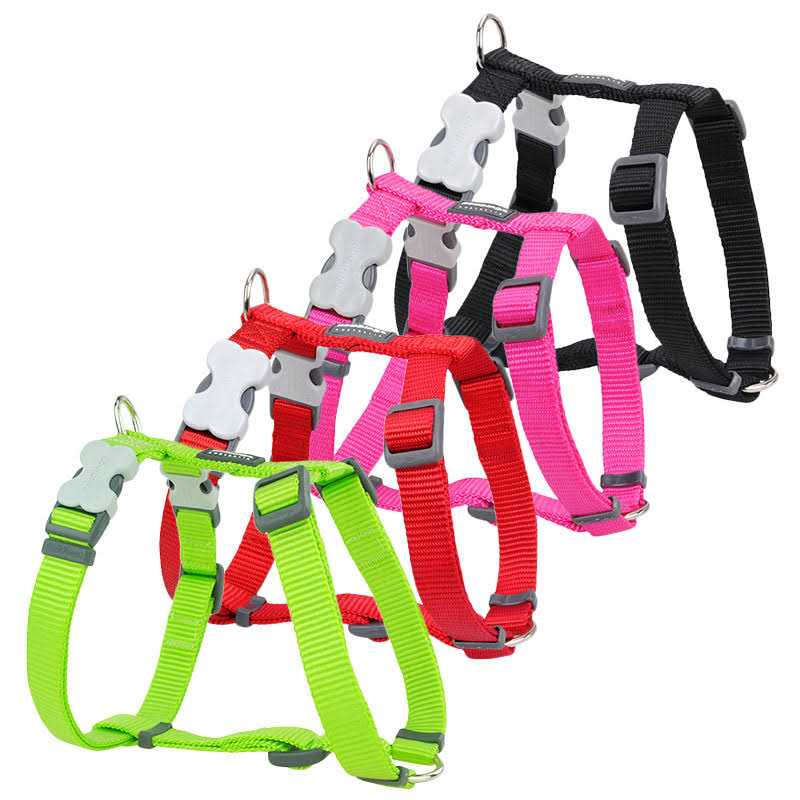 Red Dingo Dog Harness - Healthber