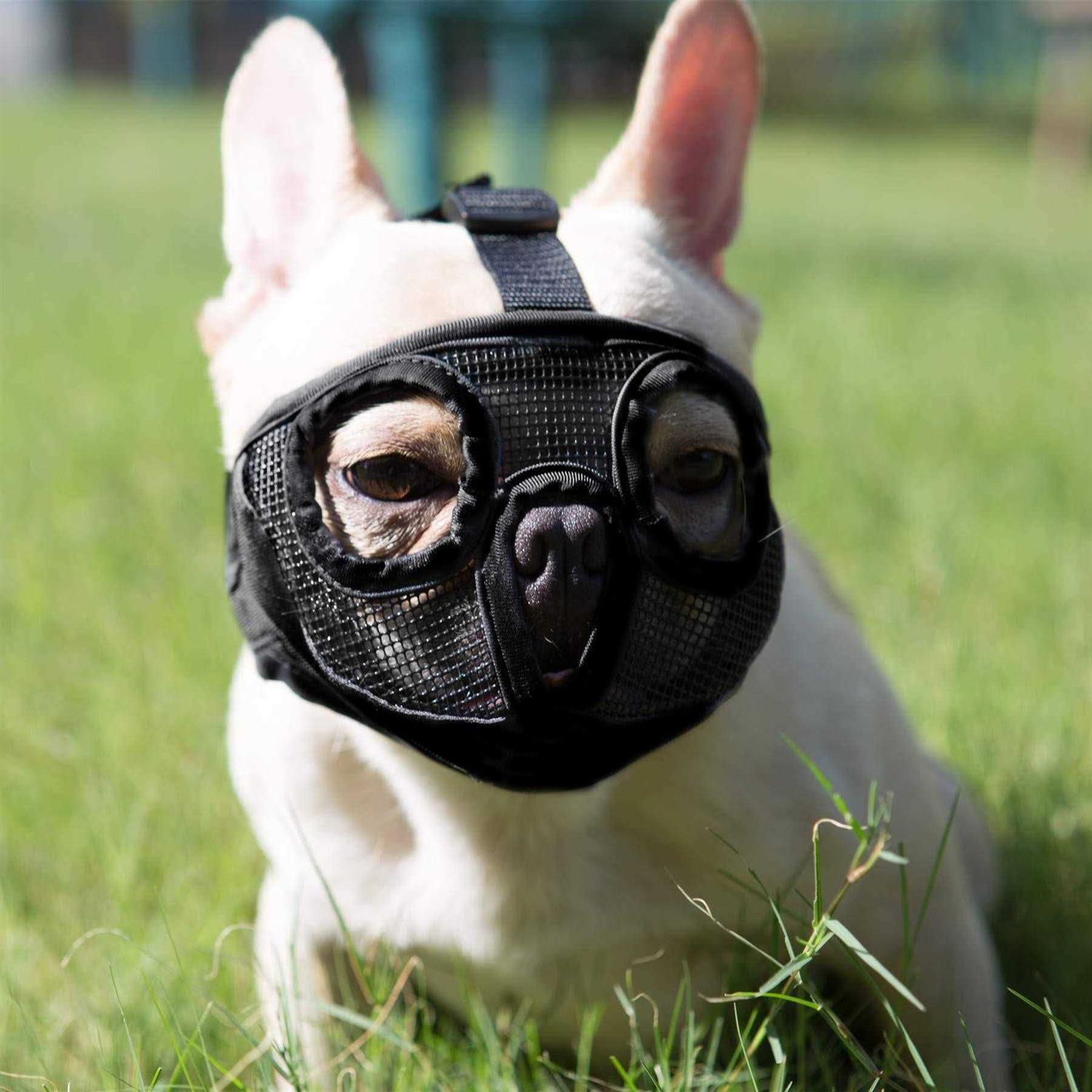 JYHY Short Snout Dog Muzzles Adjustable Breathable Mesh Bulldog Muzzle for Biting Chewing Licking Grooming Dog Mask - Healthber