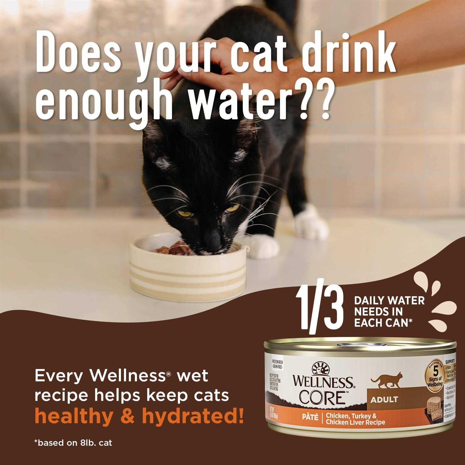 Wellness Core Digestive Health Pate Recipe Wet Cat Food - Healthber