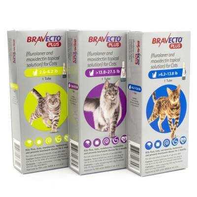 Bravecto Plus Topical Solution for Cats - Healthber