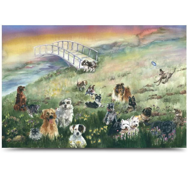 Rainbow Bridge Pet Sympathy Card - Healthber