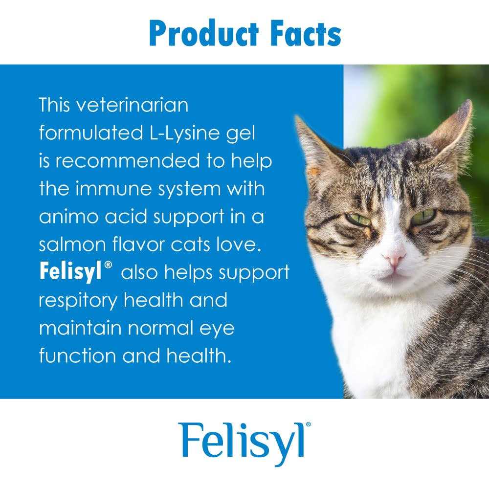 Felisyl L-Lysine Immune System Support Granules for Cats - Healthber