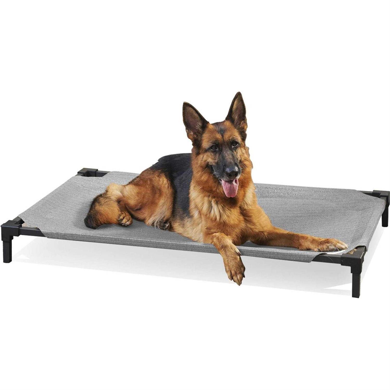 Coolaroo Cooling Elevated Pet Bed Pro - Healthber