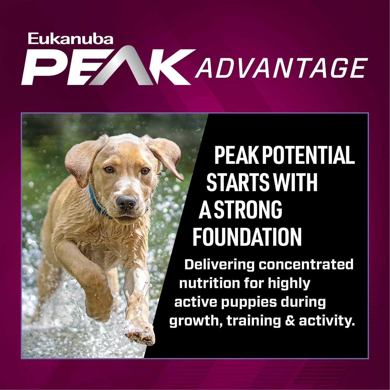 Eukanuba Premium Performance Pro Puppy Dry Dog Food - Healthber