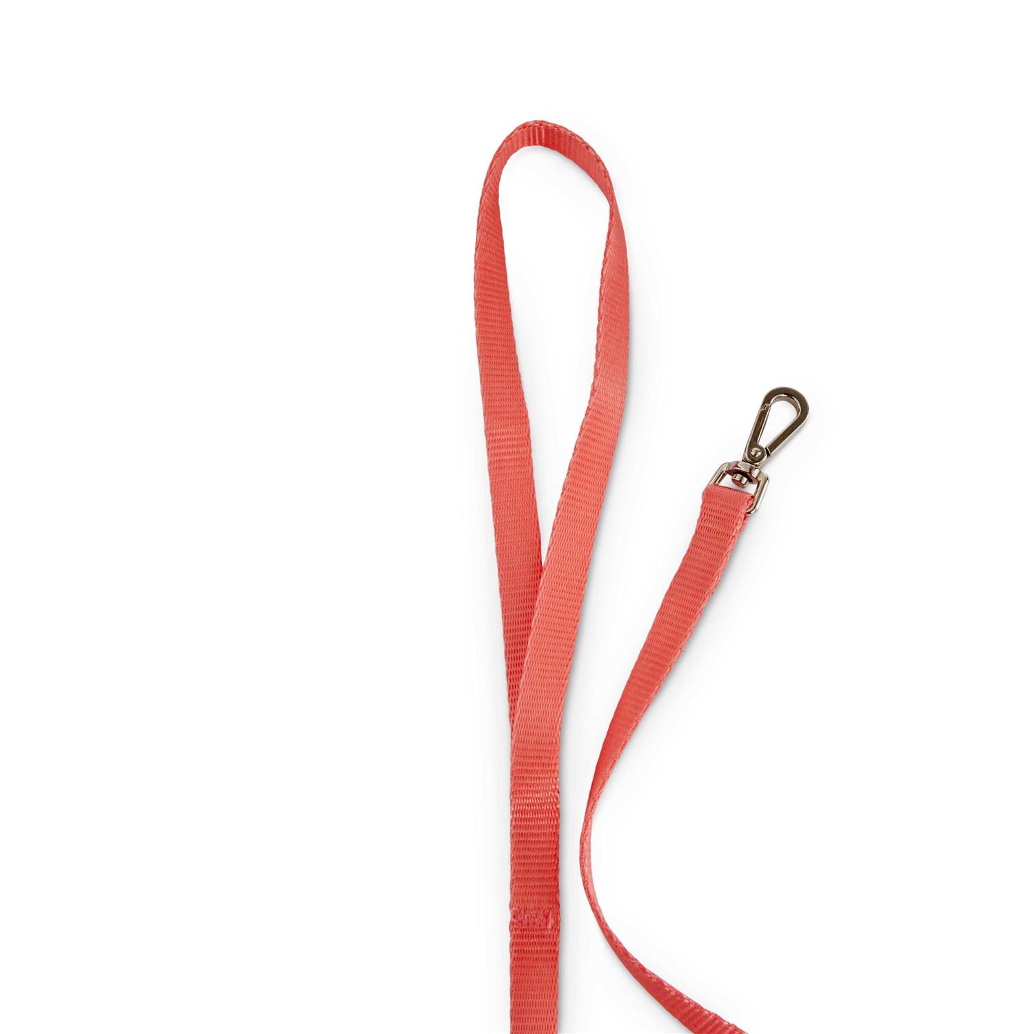Youly Cat Harness Set - Healthber