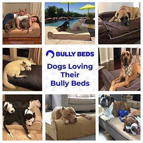 Bully Beds Bully Bed Orthopedic Waterproof Dog Beds - Healthber