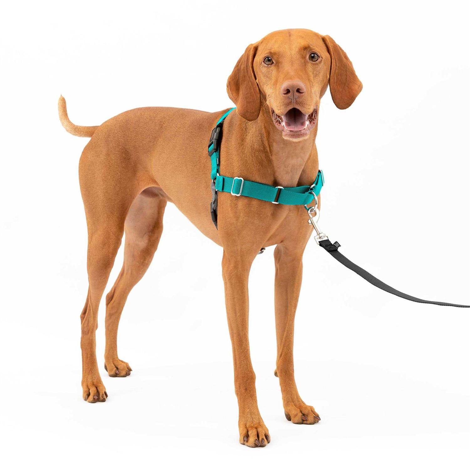 PetSafe Easy Walk Dog Harness - Healthber